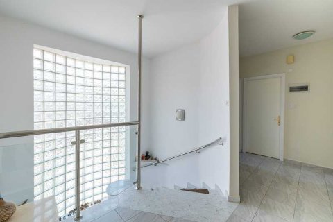 5 chambres House à Tala, Cyprus No. 75991 12