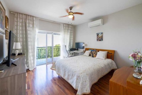 5 chambres House à Tala, Cyprus No. 75991 16
