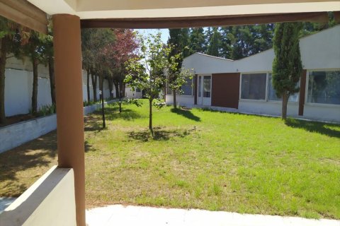 13 rooms Villa in Pylaia, Greece No. 56493 12