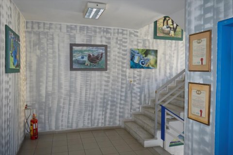 2800m² Building in Kamatero, Greece No. 58634 5