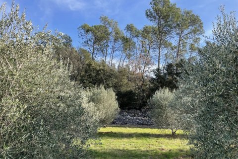 1200m² House à Puget-Ville, France No. 68108 12