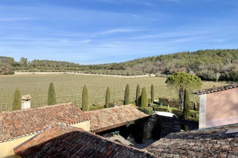 1200m² House à Puget-Ville, France No. 68108 1