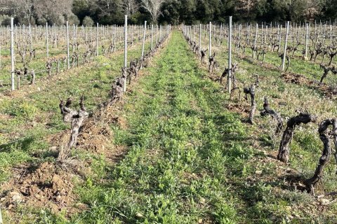 1200m² House à Puget-Ville, France No. 68108 13