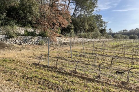 1200m² House à Puget-Ville, France No. 68108 16