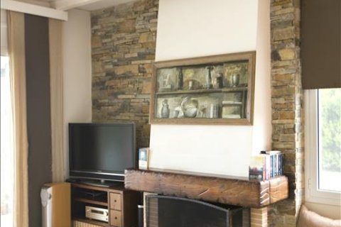 3 bedrooms Villa in Boeotia, Greece No. 59423 4