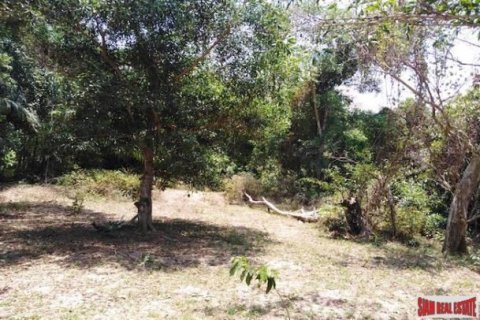 15840m² Land en Phang Nga, Thailand No. 95981 3