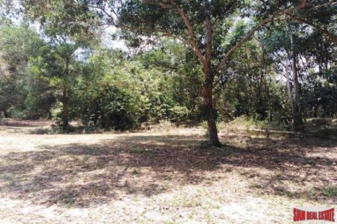 15840m² Land en Phang Nga, Thailand No. 95981 5
