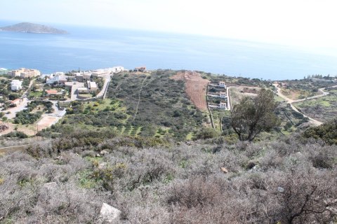 1770m² Land in Lasithi, Greece No. 57486 4