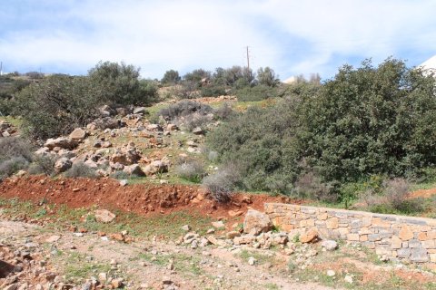 1770m² Land in Lasithi, Greece No. 57486 5