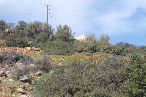 1770m² Land in Lasithi, Greece No. 57486 9