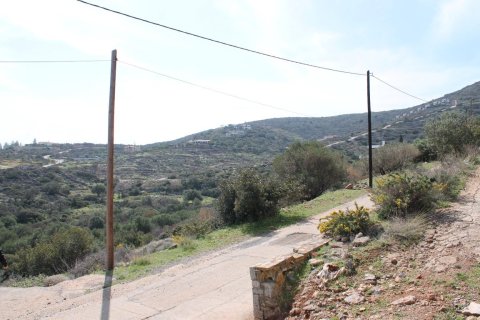 1770m² Land in Lasithi, Greece No. 57486 7