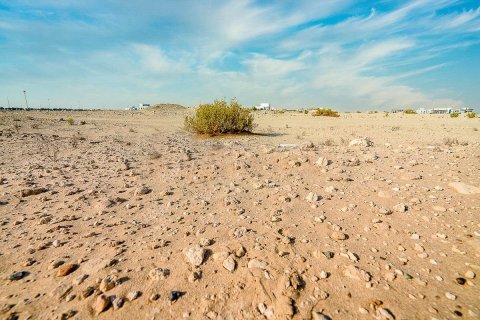 5047m² Land in Al Tebin Al Shaabiyya Housing, Vietnam No. 87417 17