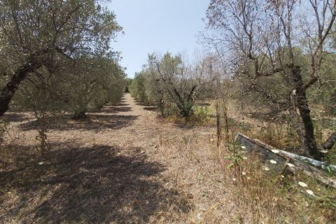 3 chambres House à Polygyros, Greece No. 56284 29