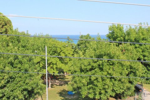 4 dormitorios Edificio en Katerini, Greece No. 55443 10