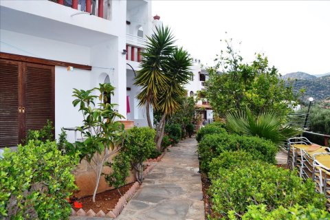 22 rooms Hotel in Lasithi, Greece No. 58722 2