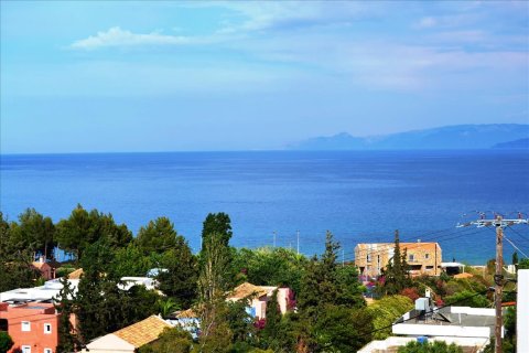 22 rooms Hotel in Lasithi, Greece No. 58722 12