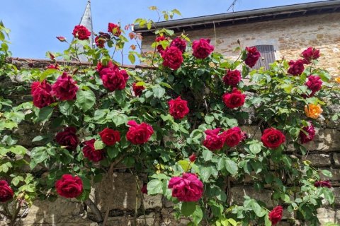 6 bedrooms House in Cuiseaux, France No. 104711 19