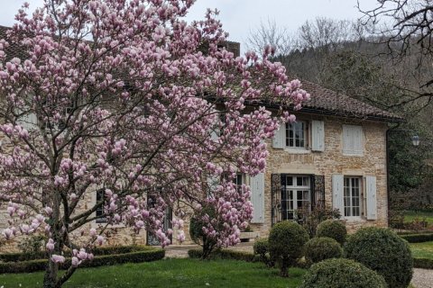 6 bedrooms House in Cuiseaux, France No. 104711 22