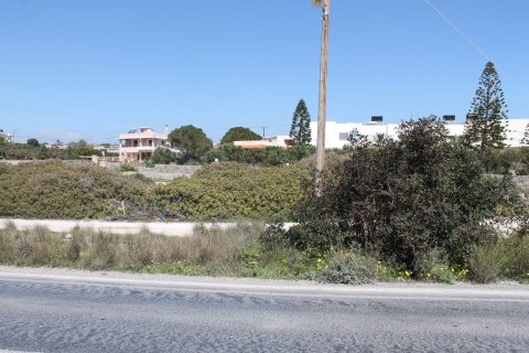 4000m² Land in Ierapetra, Greece No. 57476 4