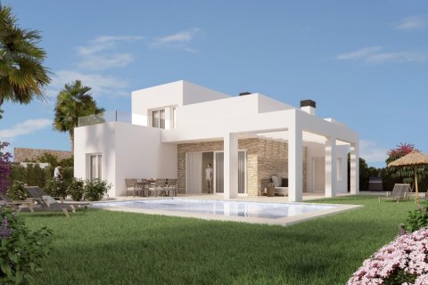 4 bedrooms Villa in Algorfa, Spain No. 117075