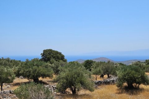2610m² Land à Agios Nikolaos, Greece No. 107421