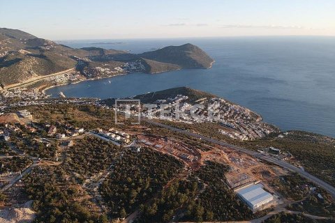 500m² Land in Phuoc Tuy, Vietnam No. 17001 5