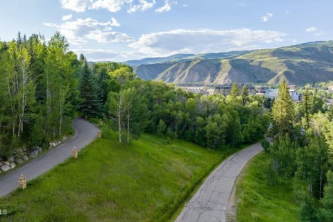 4 chambres House à Beaver Creek, USA No. 73017 12