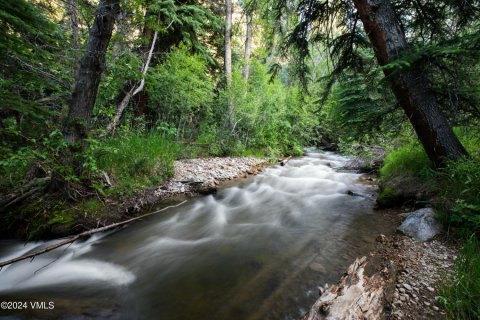 4 chambres House à Beaver Creek, USA No. 73017 11