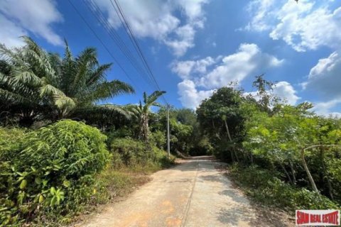 2368m² Land in Phang Nga, Thailand No. 96324 4
