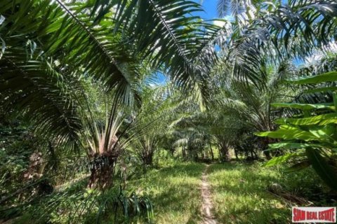 2368m² Land in Phang Nga, Thailand No. 96324 2