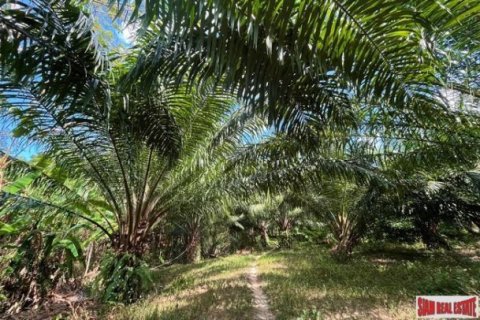 2368m² Land in Phang Nga, Thailand No. 96324 3