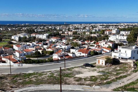 Вилла с 3 спальнями в Пафос, Кипр №83453 8