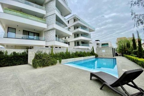 Пентхаус с 3 спальнями в Гермасойя, Кипр №102034 12