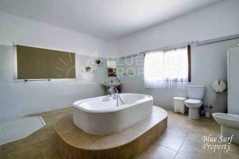 21 bedroom Villa in Deryneia, Cyprus No. 36565 23