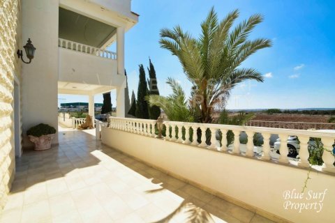 21 bedroom Villa in Deryneia, Cyprus No. 36565 20