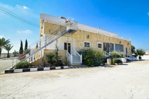 21 bedroom Villa in Deryneia, Cyprus No. 36565 3