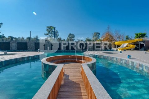 2 rooms Apartment in Lien Chieu, Vietnam No. 12211 18