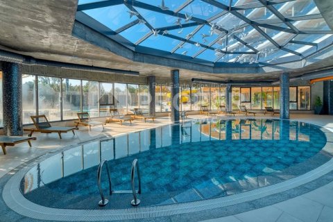 2 rooms Apartment in Lien Chieu, Vietnam No. 12211 4