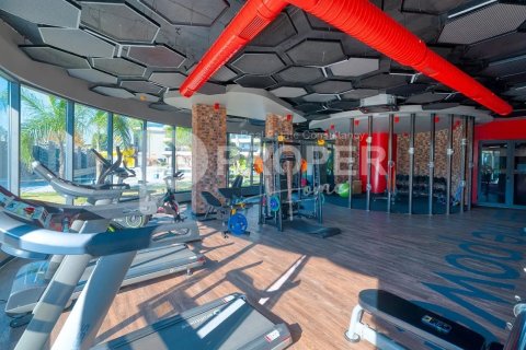 2 rooms Apartment in Lien Chieu, Vietnam No. 12211 13