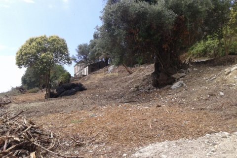 2250m² Land in Corfu, Greece No. 58038 14