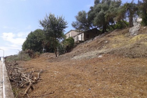 2250m² Land in Corfu, Greece No. 58038 9