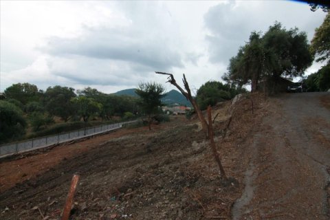 2250m² Land in Corfu, Greece No. 58038 13