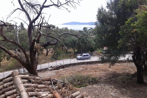 2250m² Land in Corfu, Greece No. 58038 11