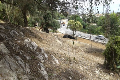 2250m² Land in Corfu, Greece No. 58038 10