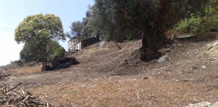 2250m² Land in Corfu, Greece No. 58038