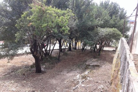 2250m² Land in Corfu, Greece No. 58038 12