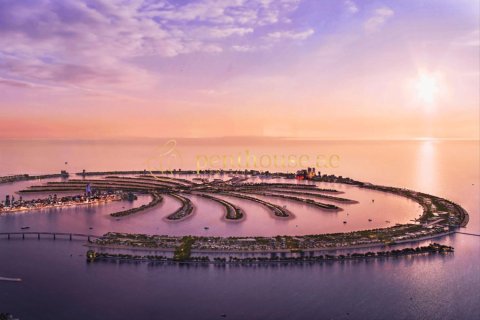 2395m² Land in Phong Khe, Vietnam No. 94378 8