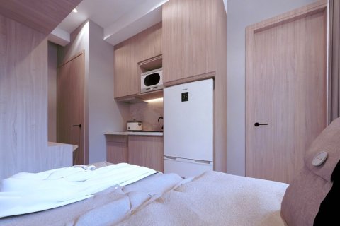 32m² Apartment in Athens, Greece No. 107973 4