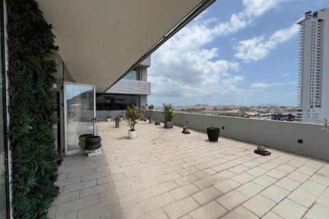 250m² Office in Panama City, Panama No. 70609 19