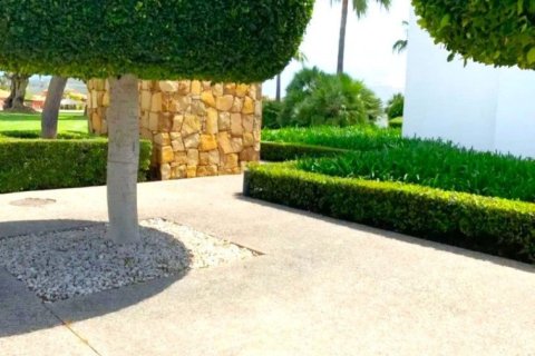 2 bedrooms Apartment in Cat Trinh, Vietnam No. 83951 5